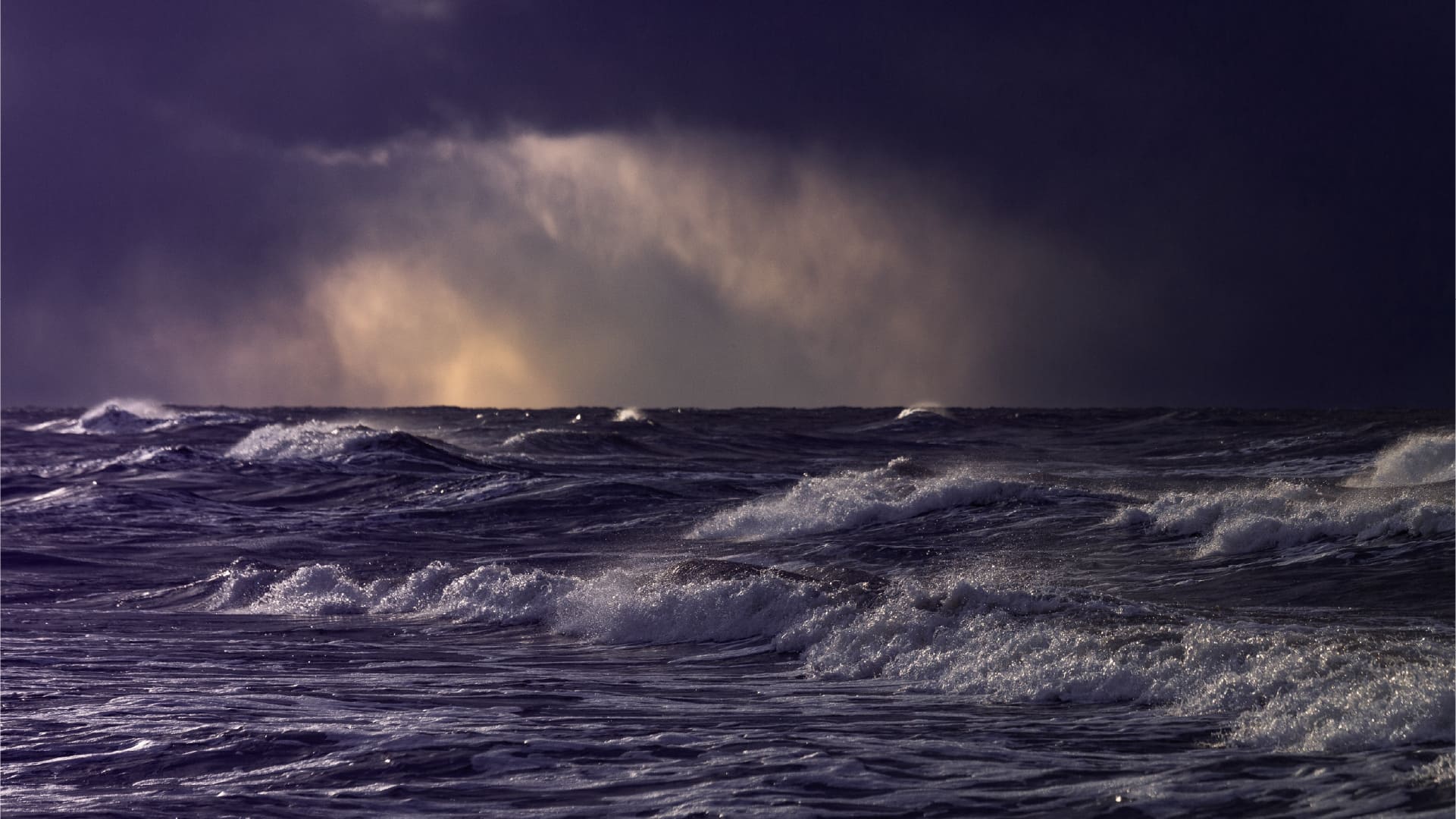 Crisis Management Min